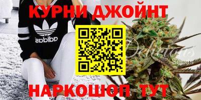 индика Ипатово