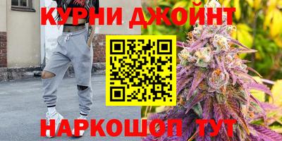 прущие грибы Камышлов