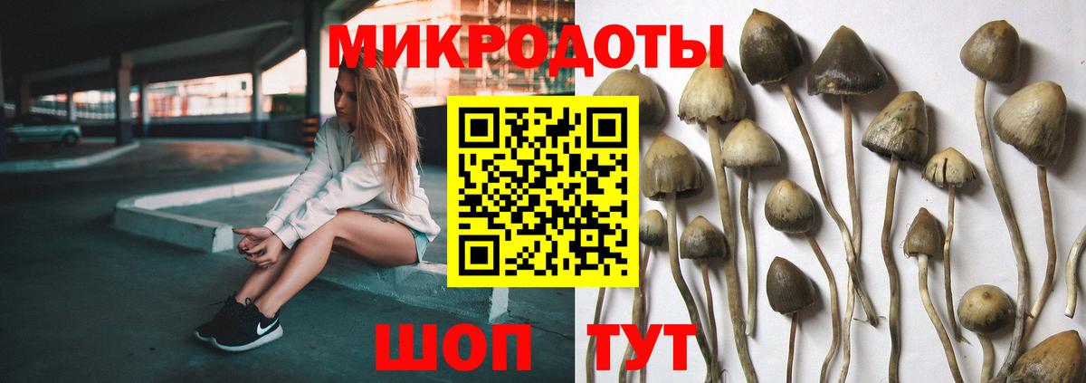 Галлюциногенные грибы Cubensis  Вход с VPN  Кропоткин 